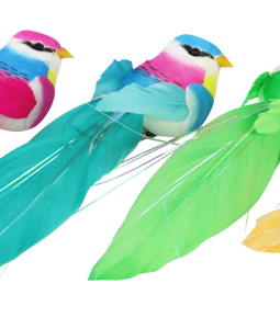 1691 KLAMMERN BEAUTIFUL BIRDS S/6